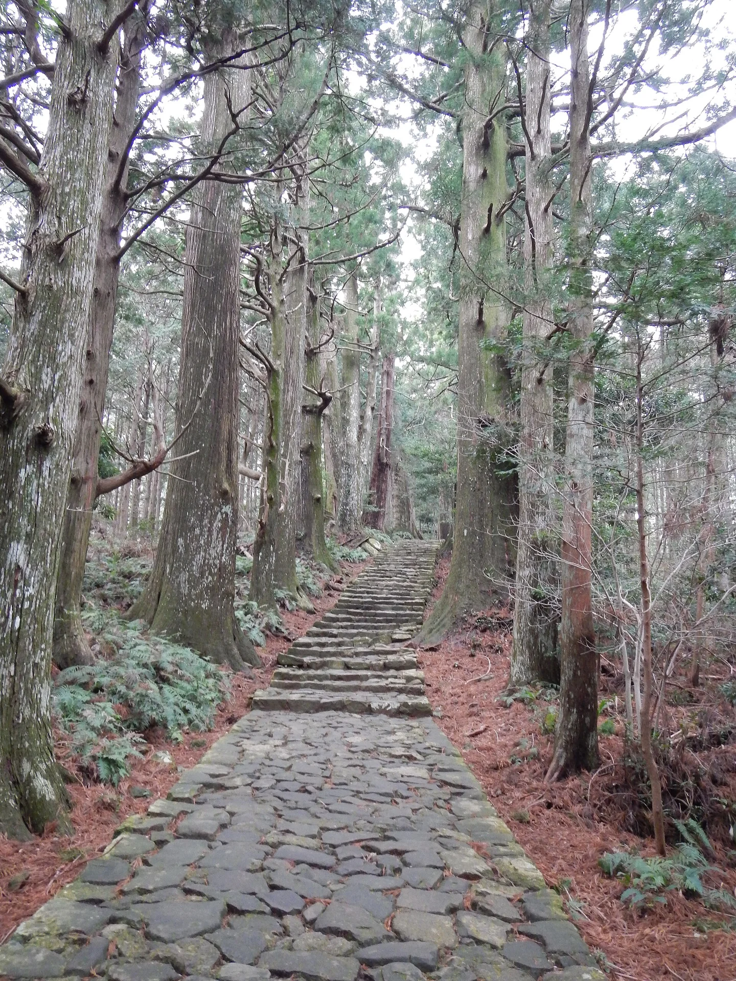 熊野古道・大門坂
