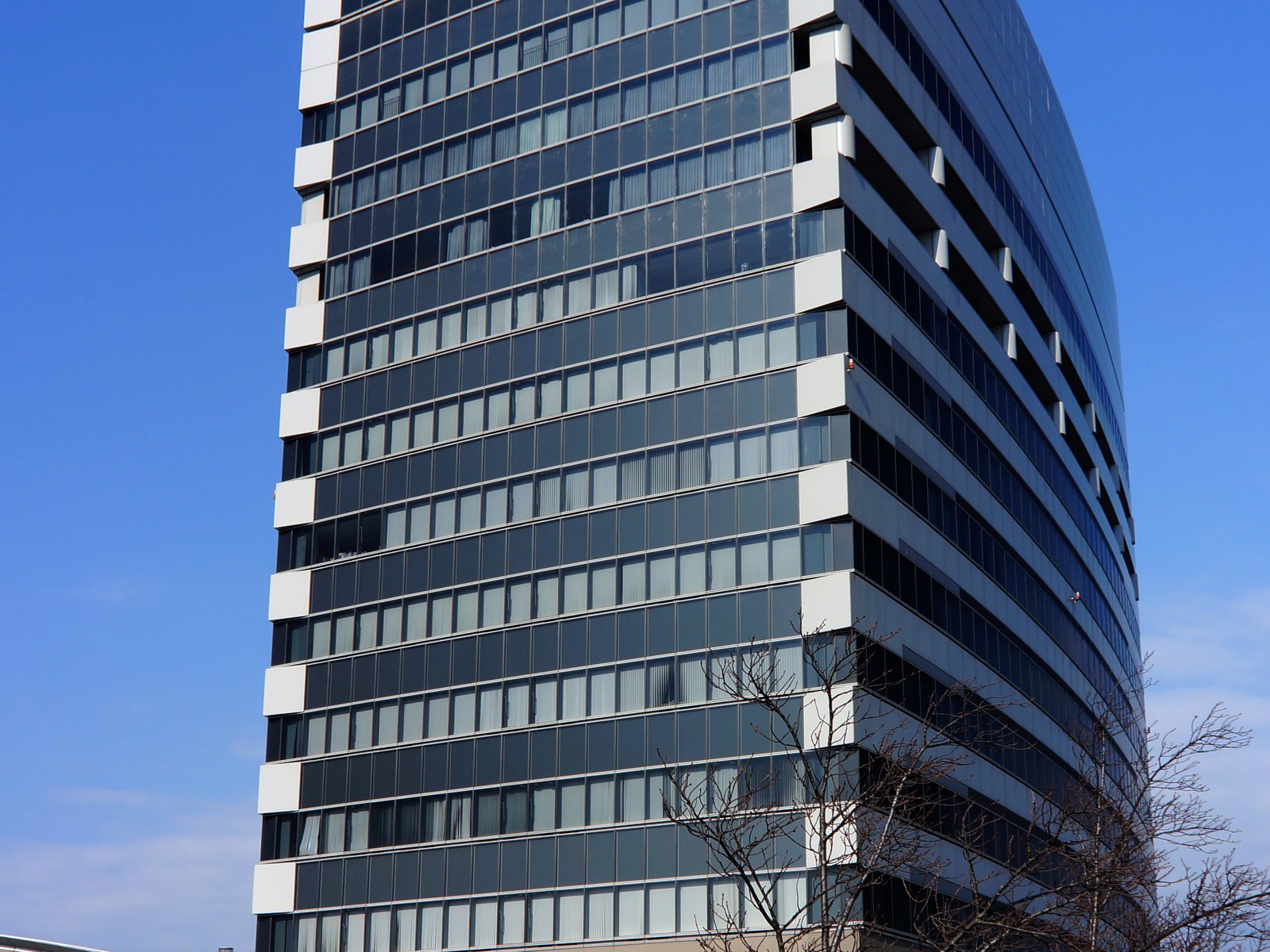 和歌山市手平の県民交流プラザ和歌山ビッグ愛