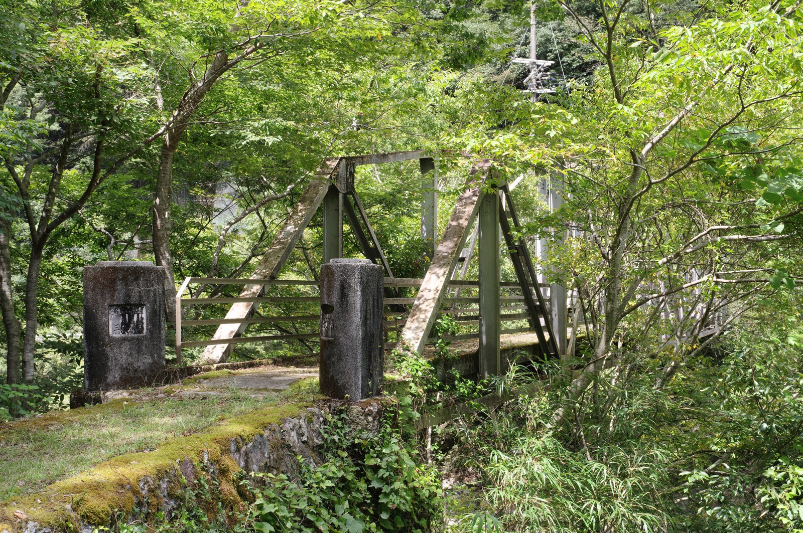 和歌山県紀美野町の山あいの風景