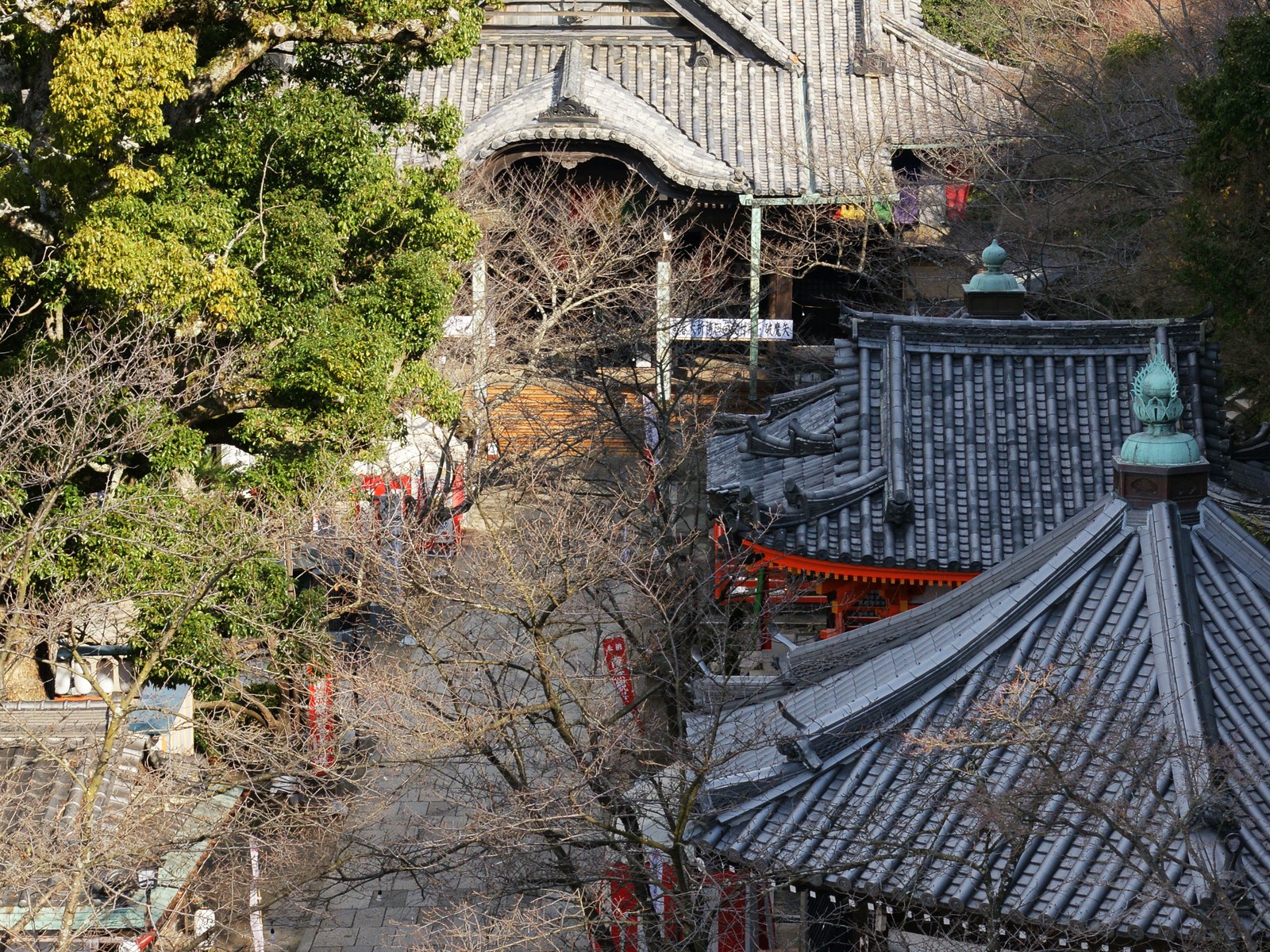 紀三井寺の階段と本堂