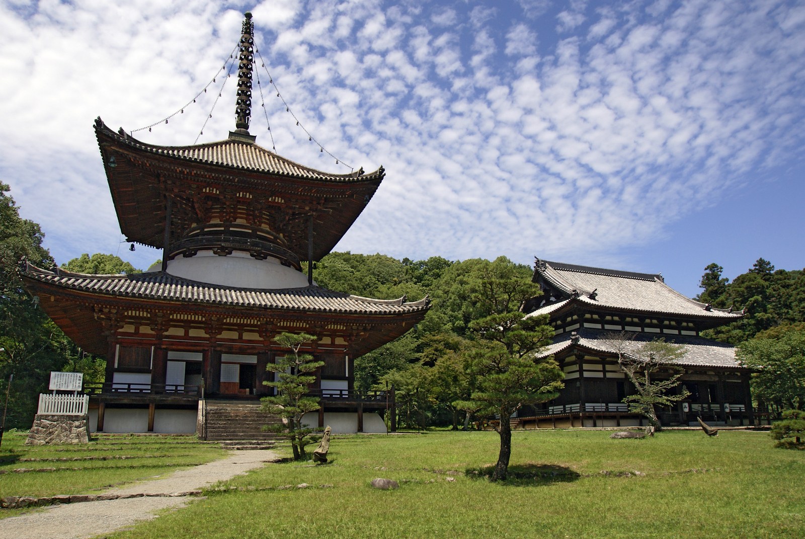 秋の根来寺の紅葉