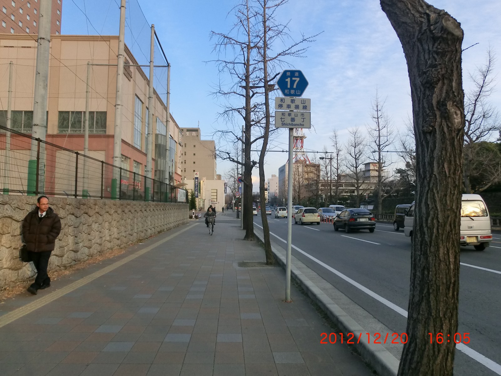 和歌山市のけやき大通りの並木道