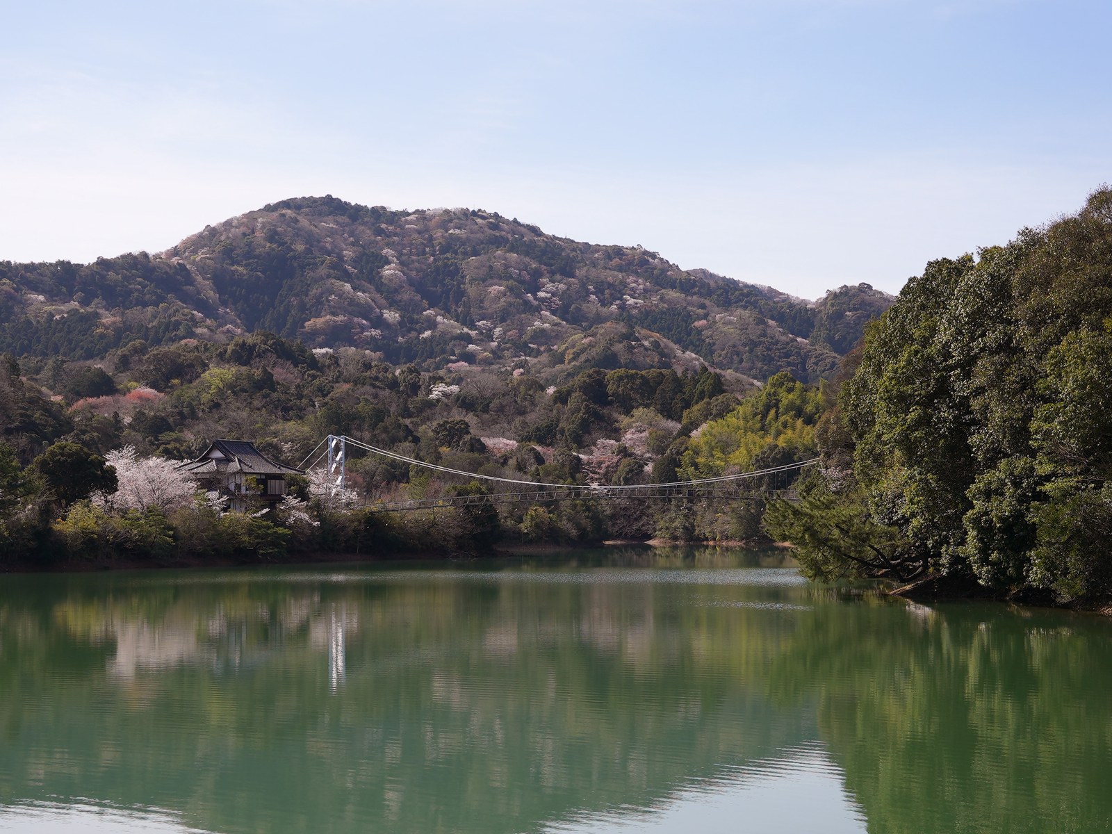夕方の亀池公園の水辺の風景