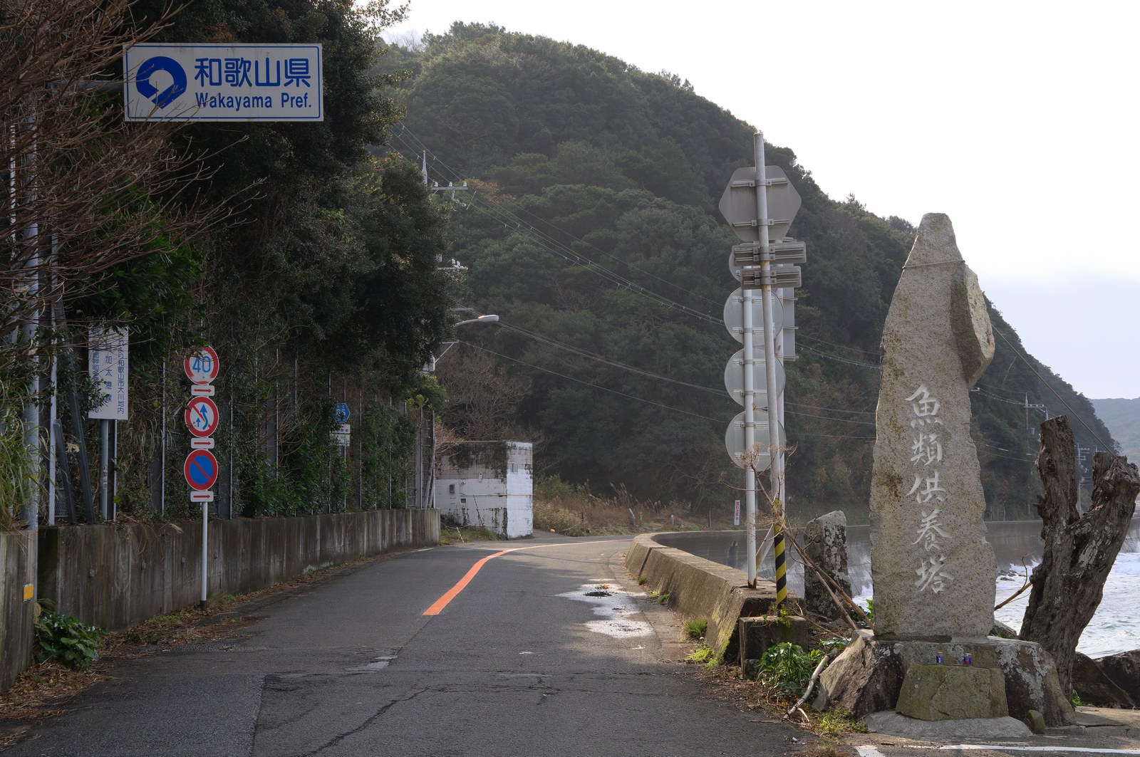 和歌山市加太の港の風景
