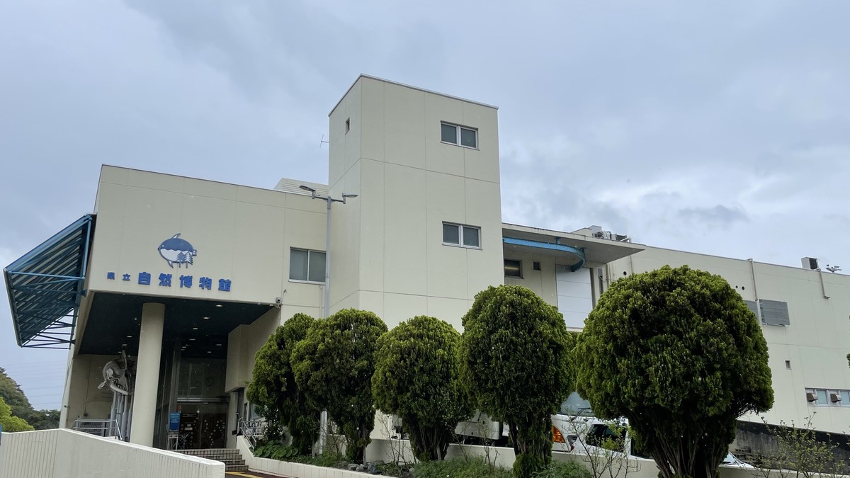 和歌山市の水族館デート｜市内にない？最寄りと県内6施設を比較